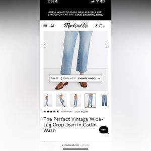 NWT Madewell The Petite Curvy Perfect Vintage Wide-Leg Crop Jean in Catlin Wash